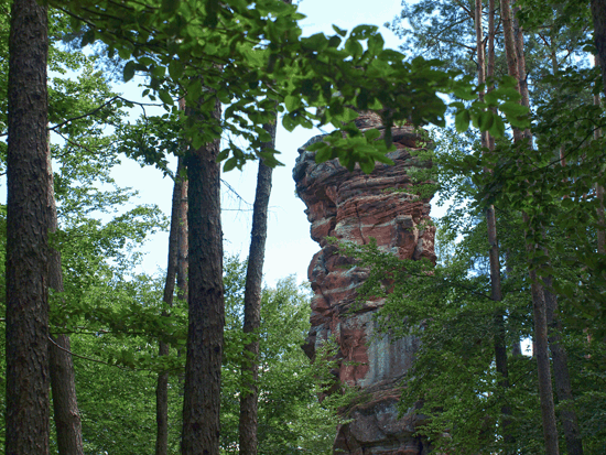 Napoleonsteig 2017